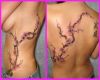 cherry blossom back and rib tattoo